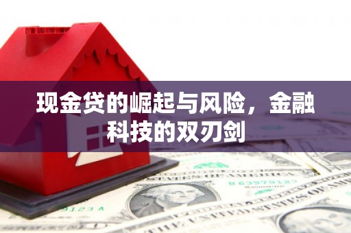 浦江现金贷的崛起与风险，金融科技的双刃剑
