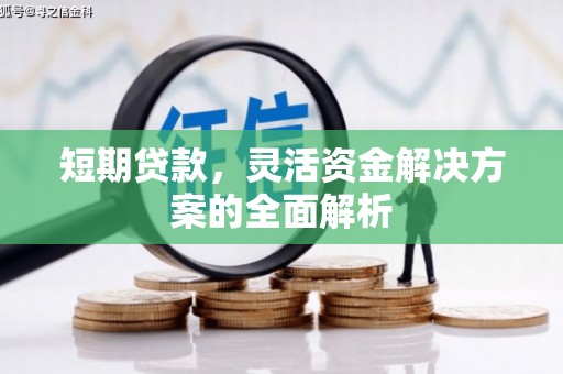 浦江短期贷款，灵活资金解决方案的全面解析