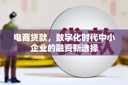 浦江电商贷款，数字化时代中小企业的融资新选择