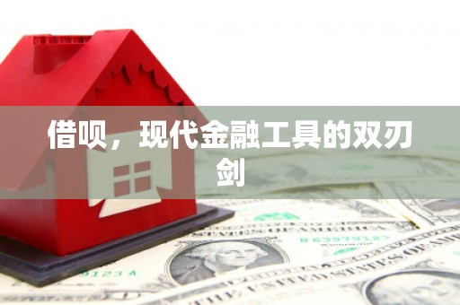浦江借呗，现代金融工具的双刃剑