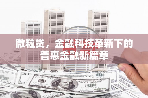 浦江微粒贷，金融科技革新下的普惠金融新篇章