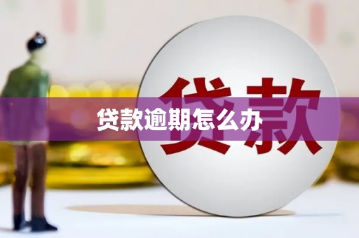 浦江贷款逾期怎么办