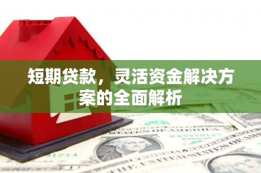 浦江短期贷款，灵活资金解决方案的全面解析