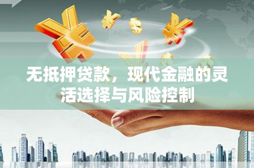 浦江无抵押贷款，现代金融的灵活选择与风险控制