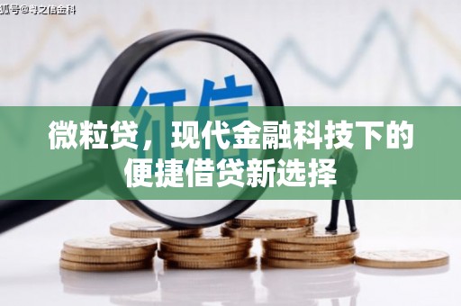 浦江微粒贷，现代金融科技下的便捷借贷新选择