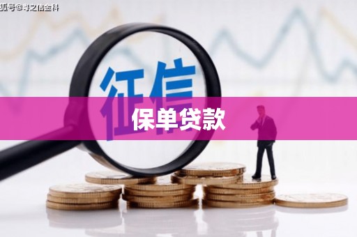 浦江保单贷款