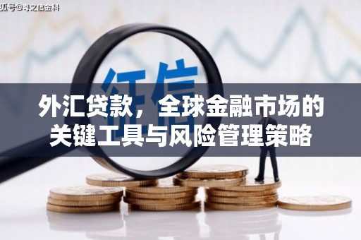 浦江外汇贷款，全球金融市场的关键工具与风险管理策略