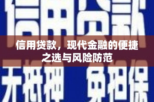 浦江信用贷款，现代金融的便捷之选与风险防范