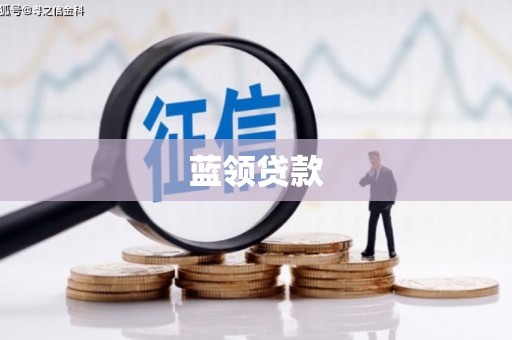 浦江蓝领贷款