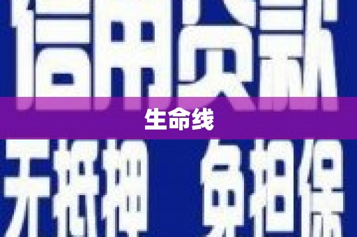 浦江生命线