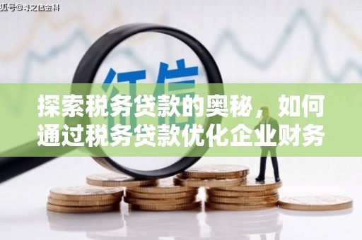 浦江探索税务贷款的奥秘，如何通过税务贷款优化企业财务