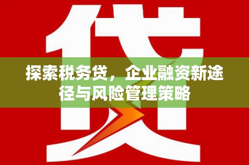 浦江探索税务贷，企业融资新途径与风险管理策略