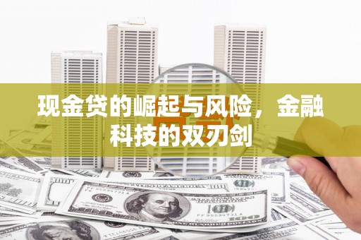 浦江现金贷的崛起与风险，金融科技的双刃剑
