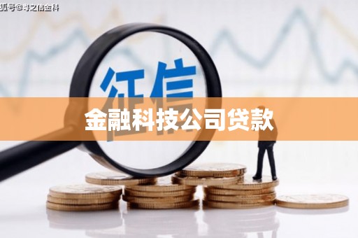 浦江金融科技公司贷款