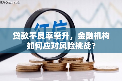 浦江贷款不良率攀升，金融机构如何应对风险挑战？
