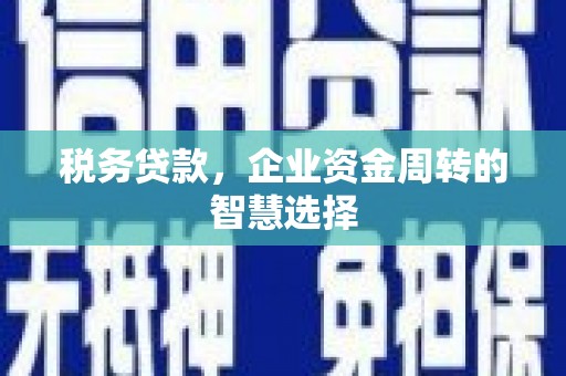 浦江税务贷款，企业资金周转的智慧选择