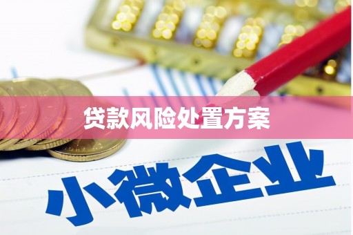 浦江贷款风险处置方案