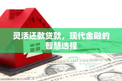 浦江灵活还款贷款，现代金融的智慧选择