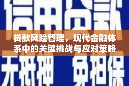 浦江贷款风险管理，现代金融体系中的关键挑战与应对策略