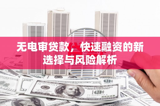 浦江无电审贷款，快速融资的新选择与风险解析