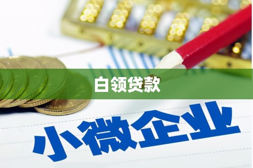 浦江白领贷款