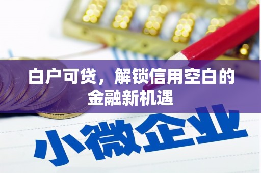浦江白户可贷，解锁信用空白的金融新机遇