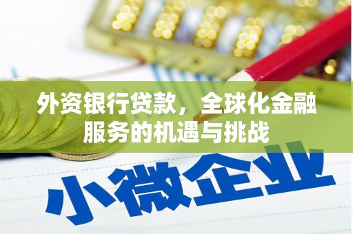 浦江外资银行贷款，全球化金融服务的机遇与挑战