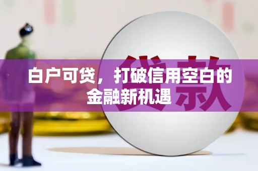 浦江白户可贷，打破信用空白的金融新机遇