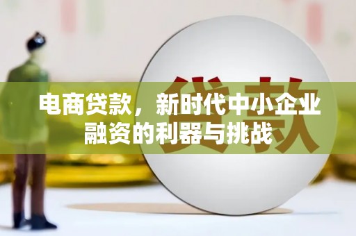 浦江电商贷款，新时代中小企业融资的利器与挑战