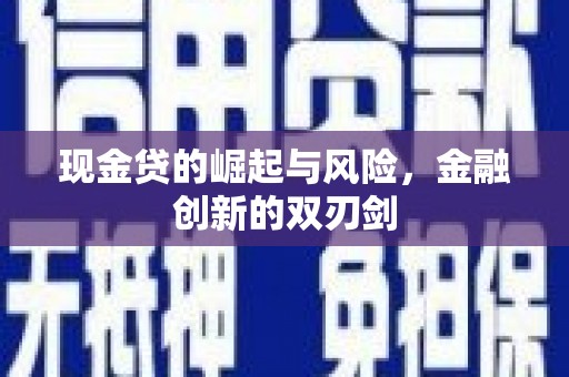浦江现金贷的崛起与风险，金融创新的双刃剑