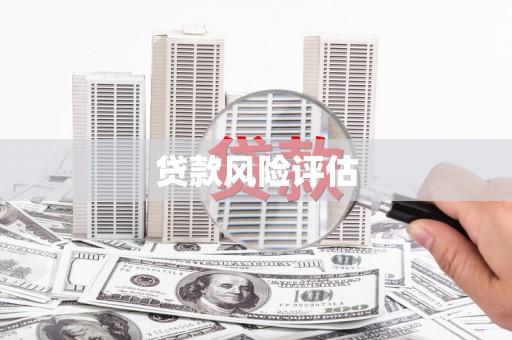 浦江贷款风险评估
