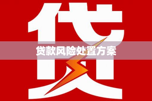 浦江贷款风险处置方案