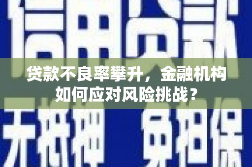 浦江贷款不良率攀升，金融机构如何应对风险挑战？