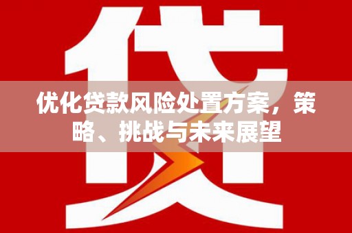 浦江优化贷款风险处置方案，策略、挑战与未来展望