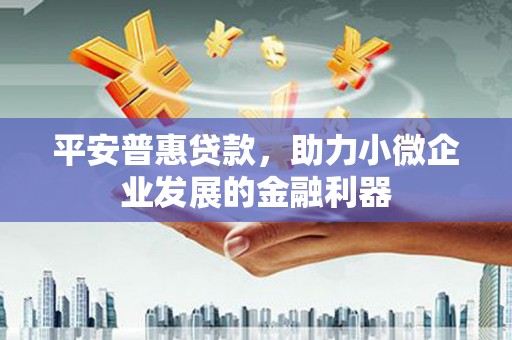 浦江平安普惠贷款，助力小微企业发展的金融利器
