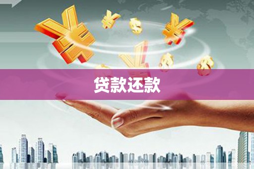 浦江贷款还款