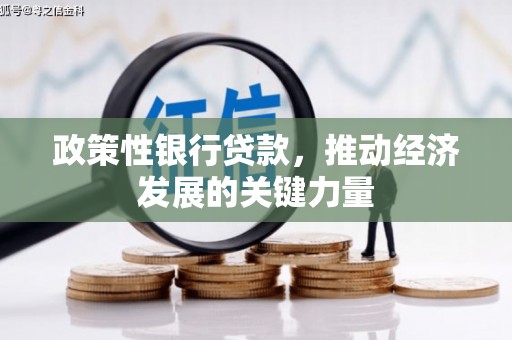 浦江政策性银行贷款，推动经济发展的关键力量