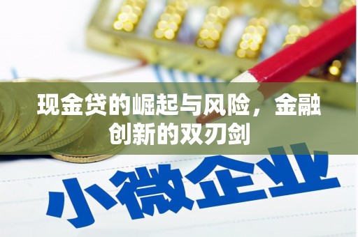 浦江现金贷的崛起与风险，金融创新的双刃剑