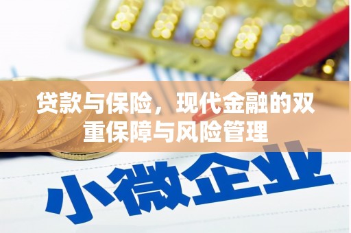 浦江贷款与保险，现代金融的双重保障与风险管理