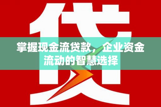 浦江掌握现金流贷款，企业资金流动的智慧选择