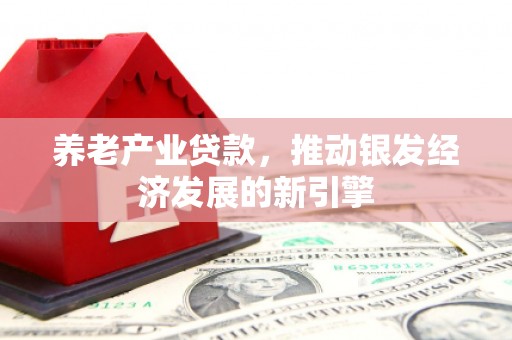 浦江养老产业贷款，推动银发经济发展的新引擎