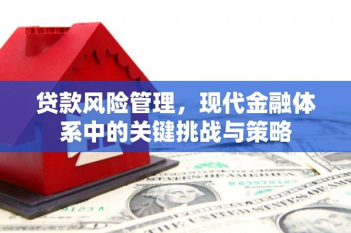 浦江贷款风险管理，现代金融体系中的关键挑战与策略