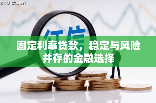 浦江固定利率贷款，稳定与风险并存的金融选择