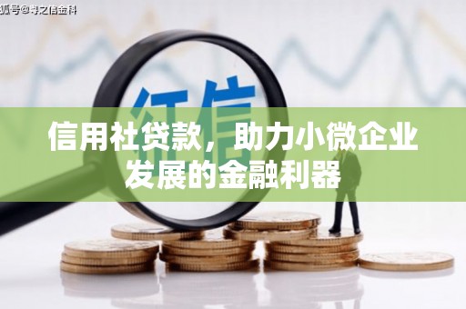 浦江信用社贷款，助力小微企业发展的金融利器