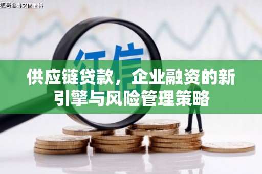 浦江供应链贷款，企业融资的新引擎与风险管理策略