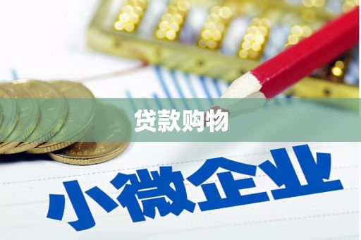 浦江贷款购物