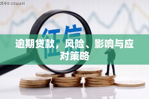 浦江逾期贷款，风险、影响与应对策略