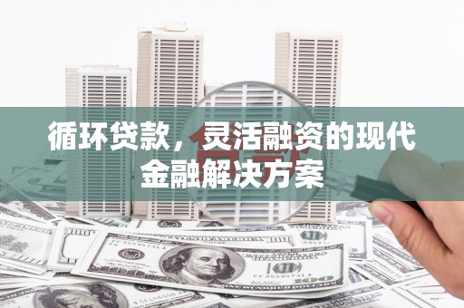 浦江循环贷款，灵活融资的现代金融解决方案