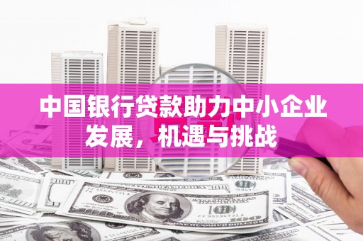 浦江中国银行贷款助力中小企业发展，机遇与挑战