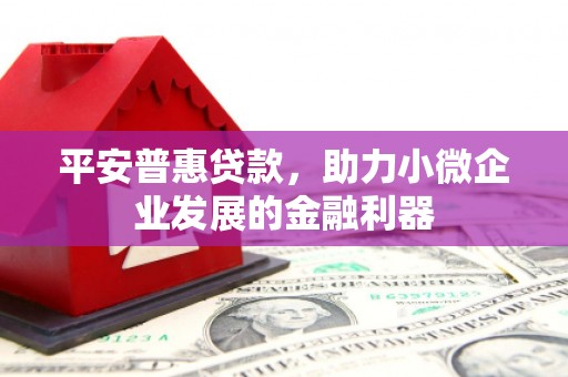 浦江平安普惠贷款，助力小微企业发展的金融利器